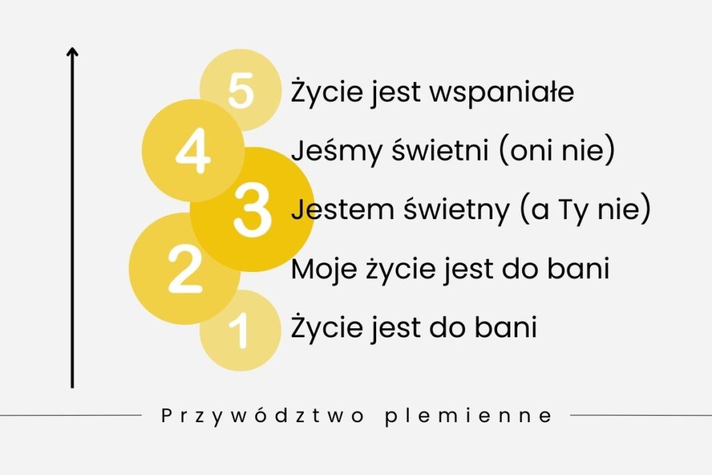 Co znajdziesz w książce „Doskonały Scrum Master” - Zuzi Sochova 3 Tribal Leadership, przywództwo plemienne schemat