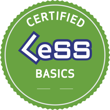 Certified LeSS Basics