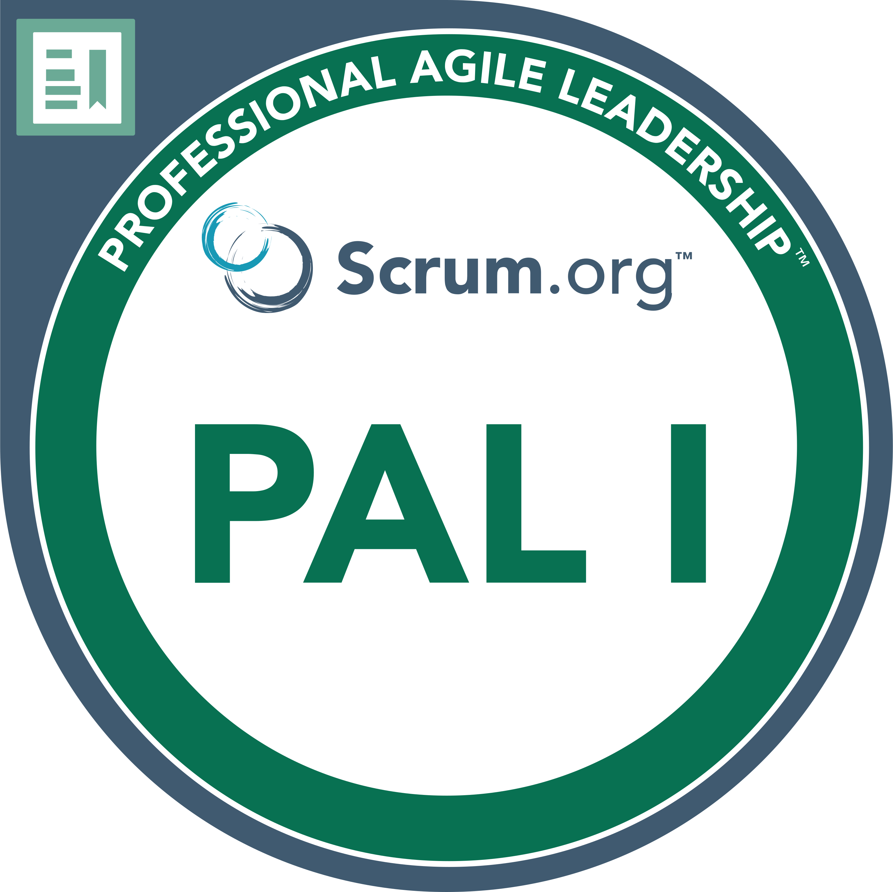 Professional Agile Leadership