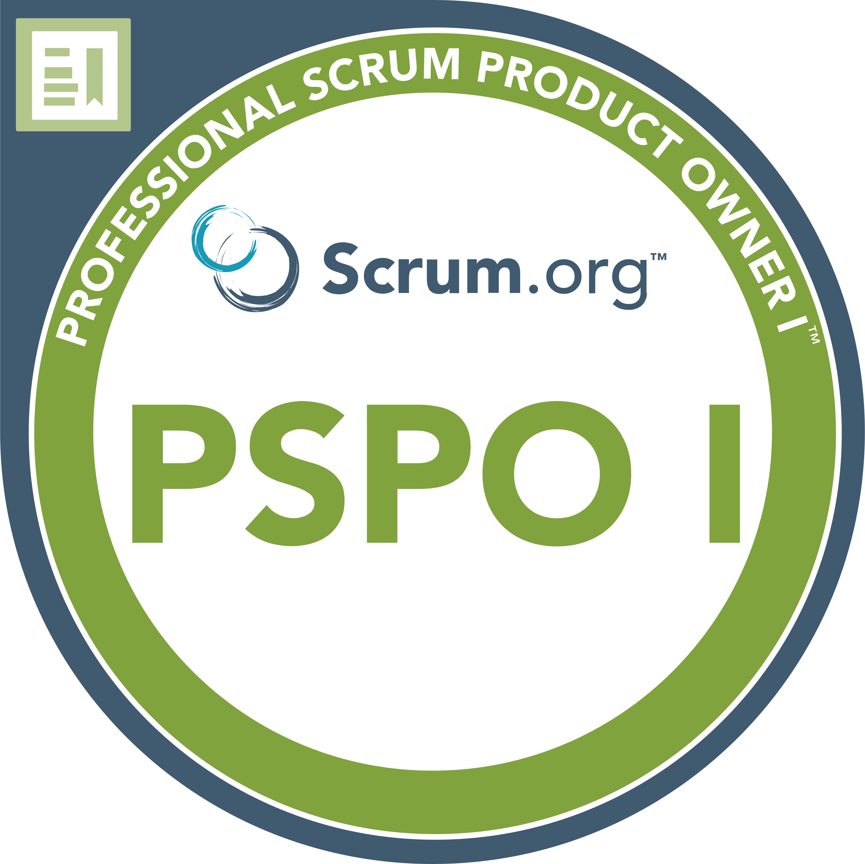 Professional Product Owner 1