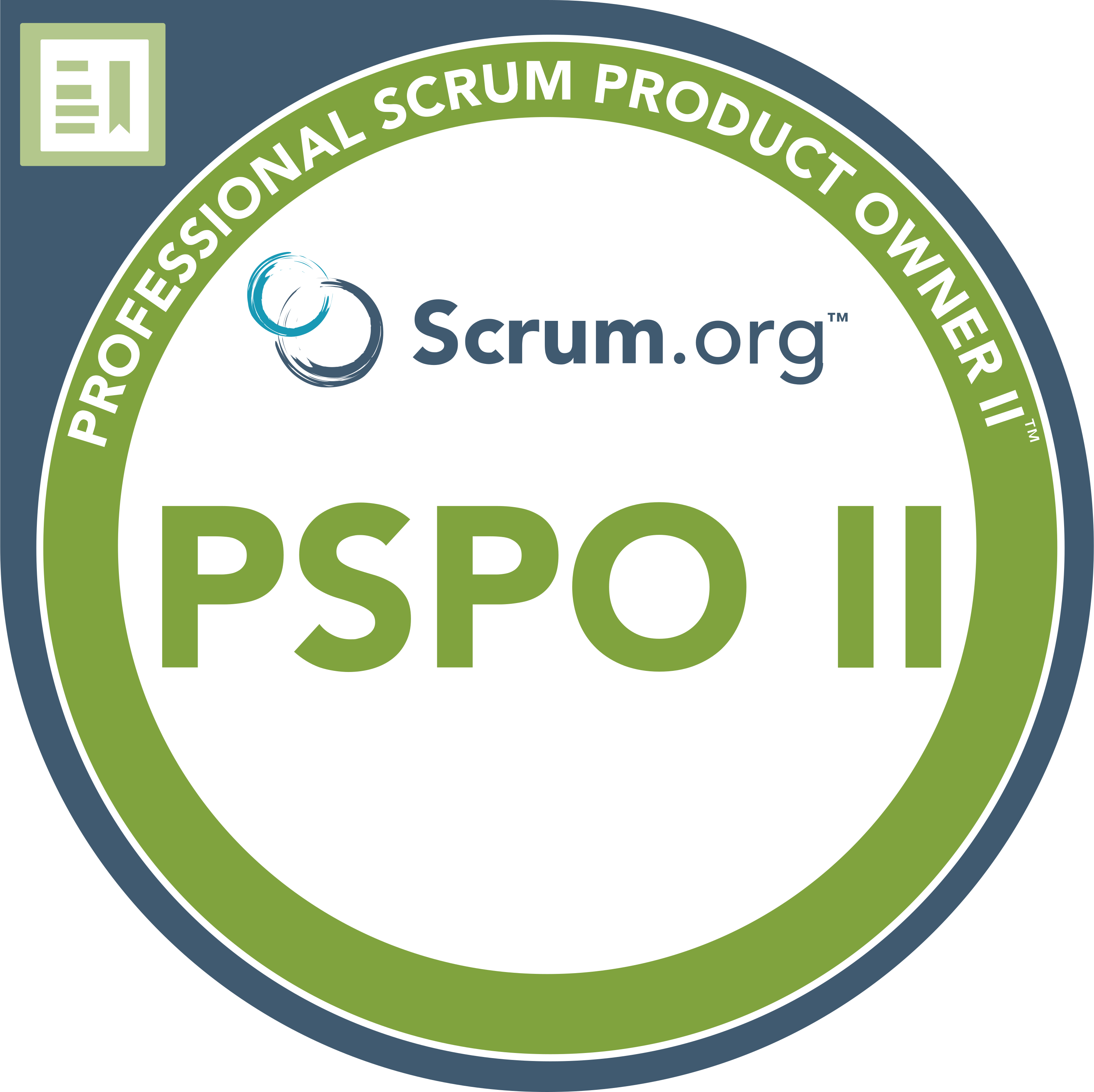 Professional Product Owner 2