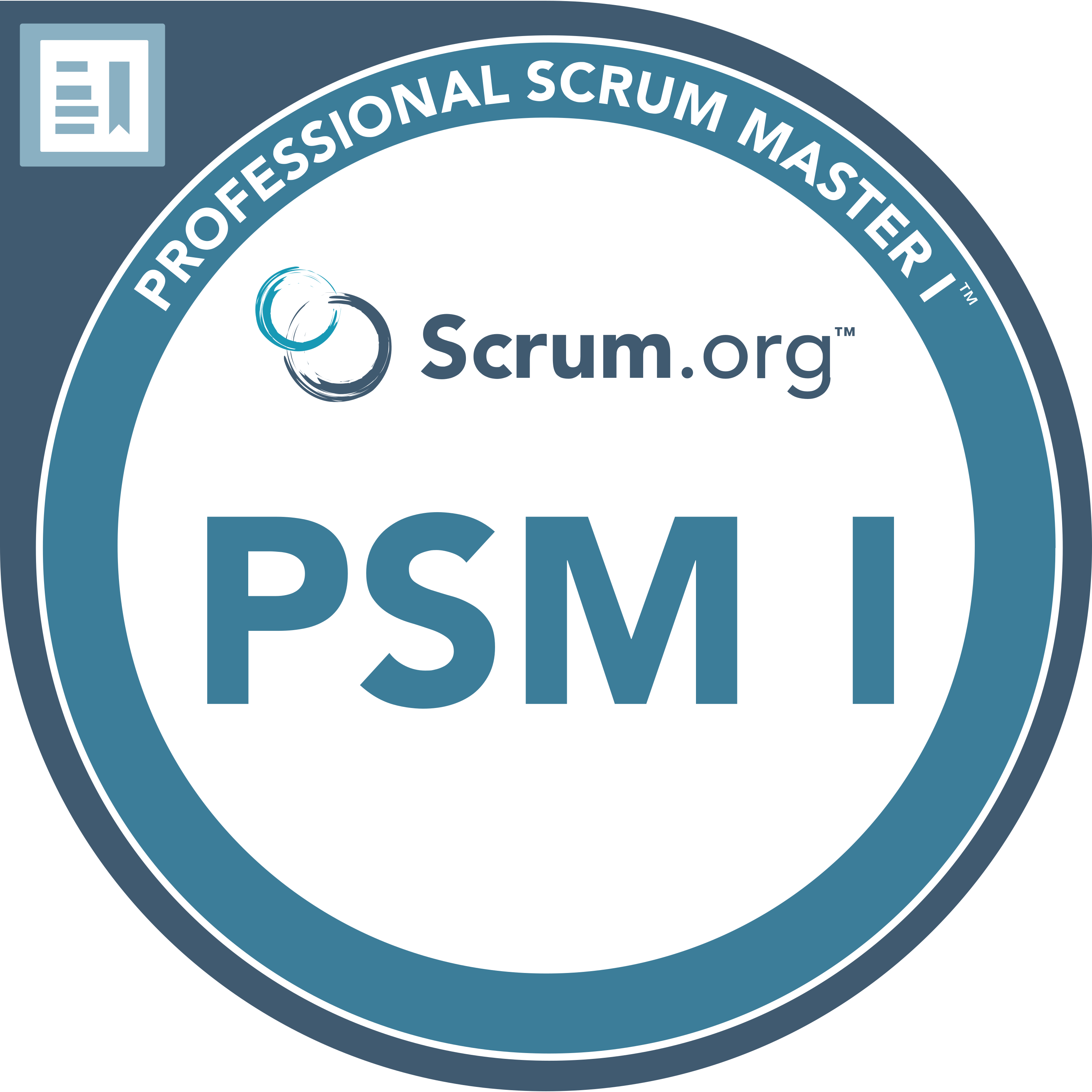 Professional Scrum Master 1
