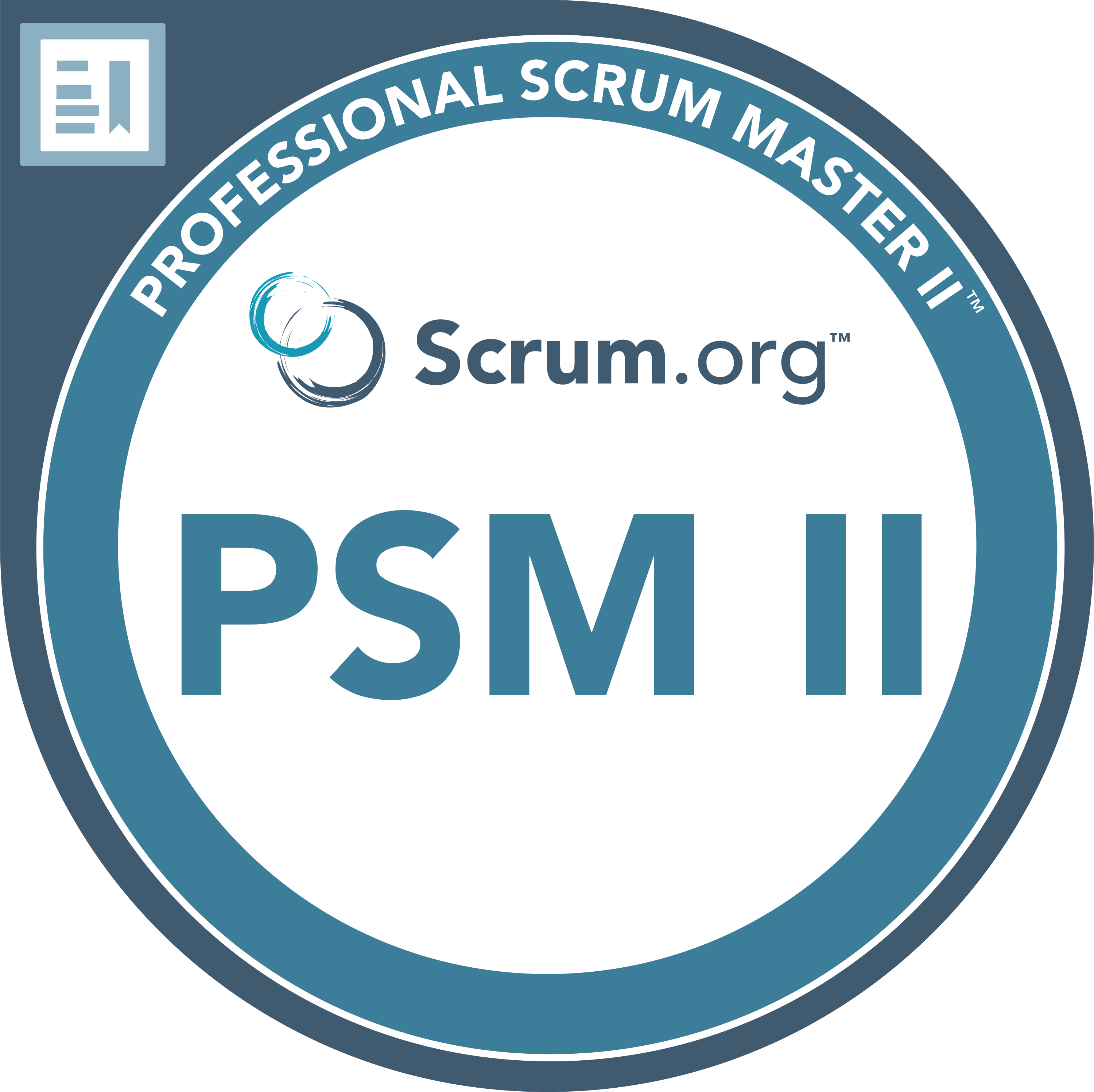 Professional Scrum Master 2